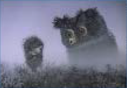 霧の中のハリネズミ